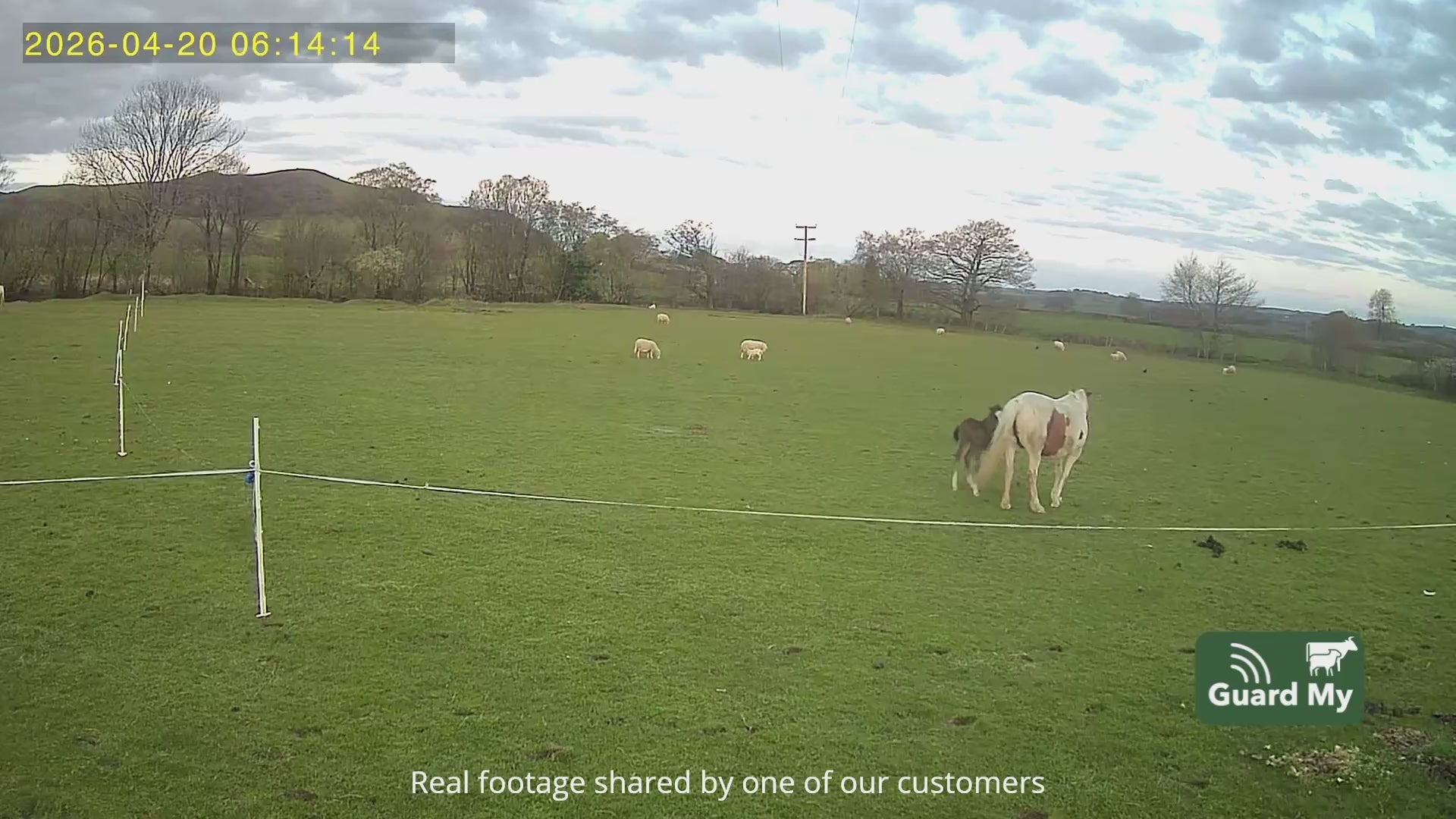Load video: 